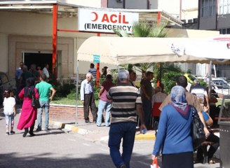 Yarasa Isırdı Kuduz Oldu