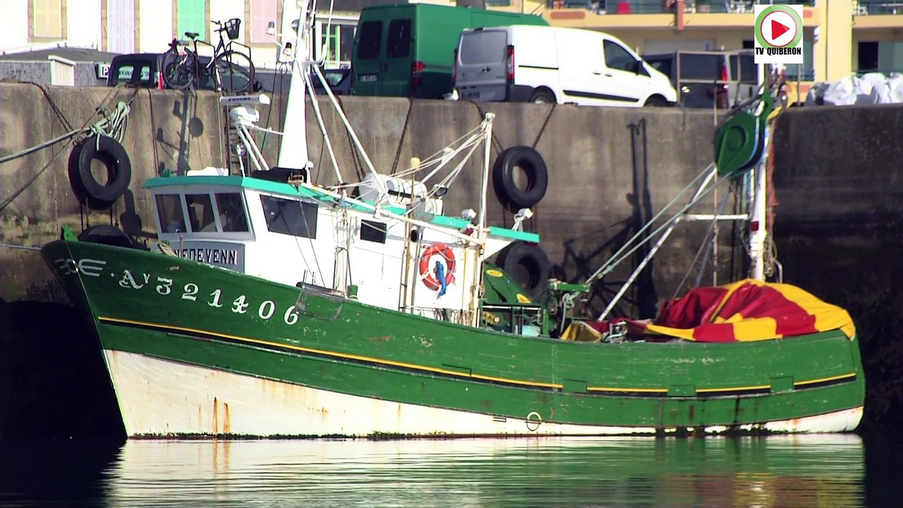 Quiberon  |  Port Maria et ses Bateaux de Pêche   |  TV Quiberon 24/7