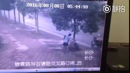 Ăn cắp xe đạp, chặt nguyên cây xanh giữa đường