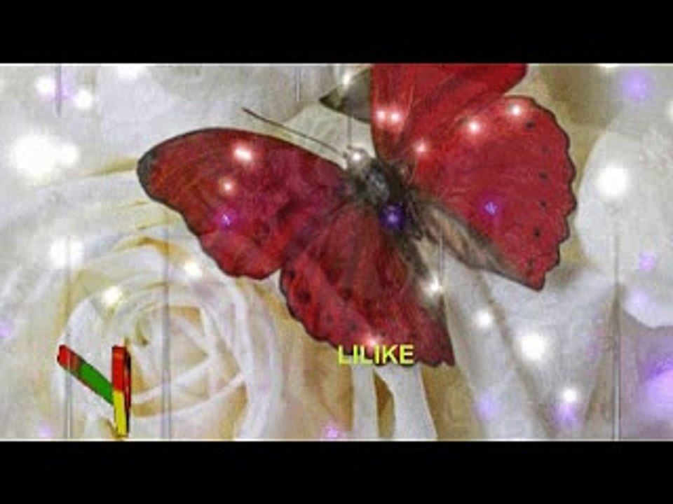 VIRÁGOK - KÉP