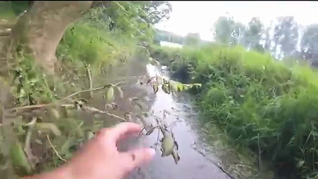 Obstacle, Assault Course | Obstacle Races UK| Stag do ideas