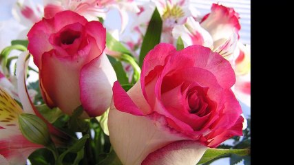 CANCIÓN DE UN HOMBRE VIEJO PARA UNA JOVEN MUJER (SEGUNDA VERSIÓN) - POEMA DE VERANO BRISAS