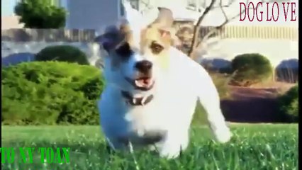 TÔ NY TOÀN ● TỔNG HỢP NHỮNG CLIP HÀI BÁ ĐẠO NHẤT [P1]