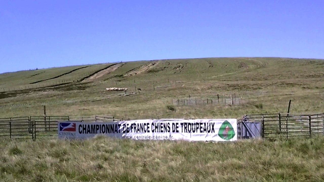 F'Cool le beauceron au Championnat de France 2016 - 1/2