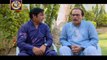 Watch Bulbulay Episode 261 on Ary Digital in High Quality 21st September 2016