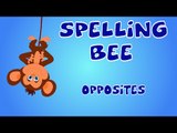 Learn Opposites Words | Opposites Words With Spelling Bees