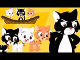 tres pequeños gatitos rima | canción de los niños | poema para niños