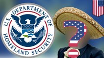 Homeland Security granted 859 deportees U.S. citizenship by mistake