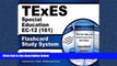 Online eBook TExES Special Education EC-12 (161) Flashcard Study System: TExES Test Practice