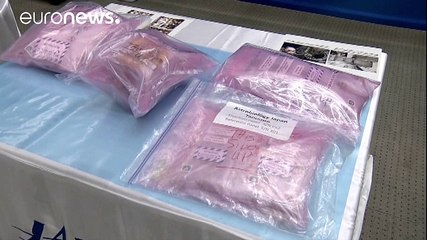 Japanische Forscher suchen nach dem Ursprung des Lebens