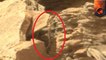 Conspiracy nerds say ‘snake’ seen in Mars rover photo proves NASA isn’t on the red planet