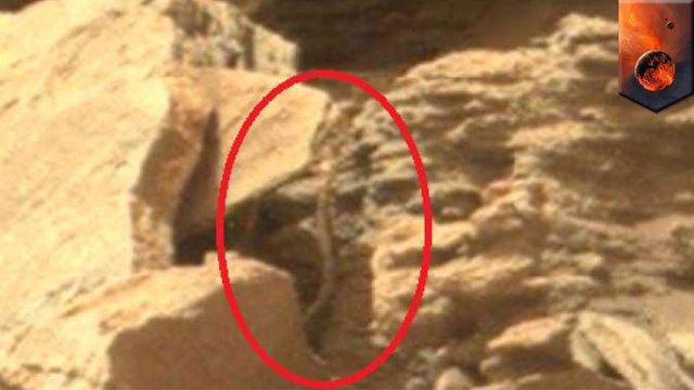 Conspiracy nerds say ‘snake’ seen in Mars rover photo proves NASA isn’t on the red planet