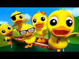 5 Little Ducks | 3d Nursery Rhymes For Kids | Baby Songs | Childrens Music Video