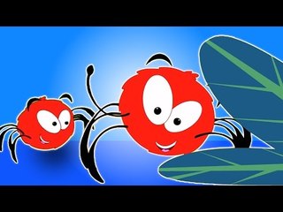 incy wincy Spinne | beliebte Kinderreime für Kinder | Bildungs-Video | Incy Wincy Spider
