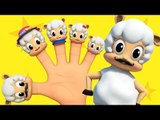 Sheep Finger Family | Nursery Rhymes Farmees | Kids Songs | Baby Videos