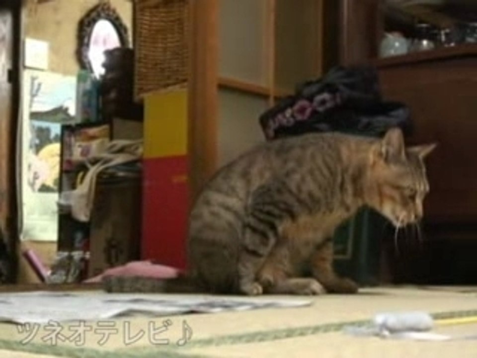 Tsuneo walking