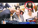 Nadeem Malik bashes Nawaz Sharif for taking Maryam Nawaz's daughter in UN visit