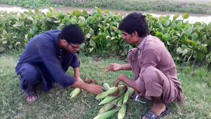 Sharing Love When Words Can't Express It ❤️