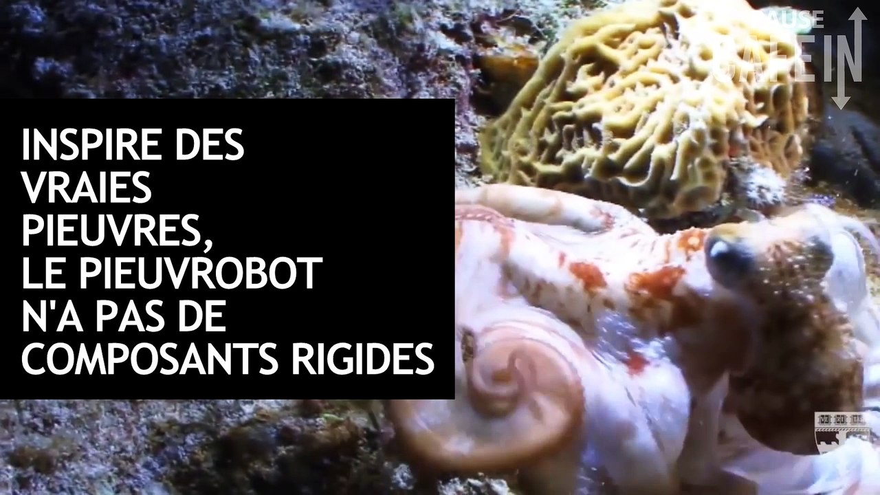Découvrez l'Octobot, le tout premier robot mou !