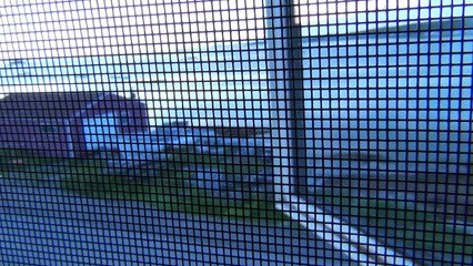 Bird Won't Stop Chirping