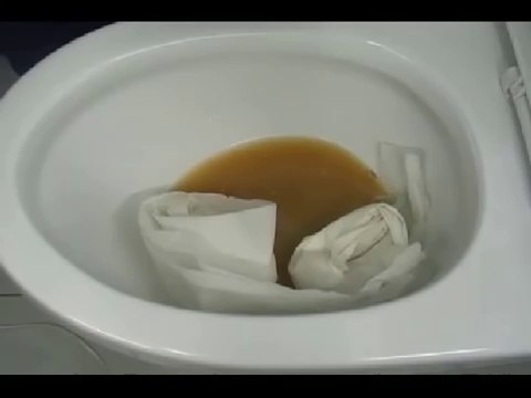 Un système presque magique pour déboucher ses toilettes