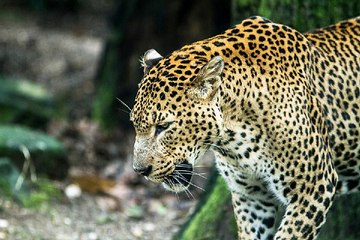 찜알바《검색》안산주부알바,경기고액알바,귀족알바,가라오케알바