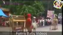 Very funny videos that make you laugh and cry Funniest Video Ever YouTube