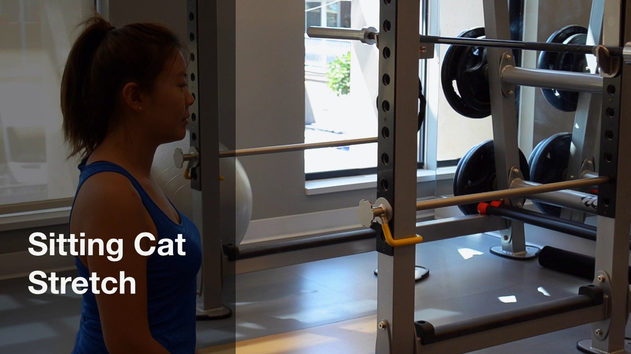 Sitting Cat Stretch Insync Physiotherapy