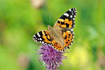 대구노래방알바,강남고수입알바『검색↔찜알바』나비알바