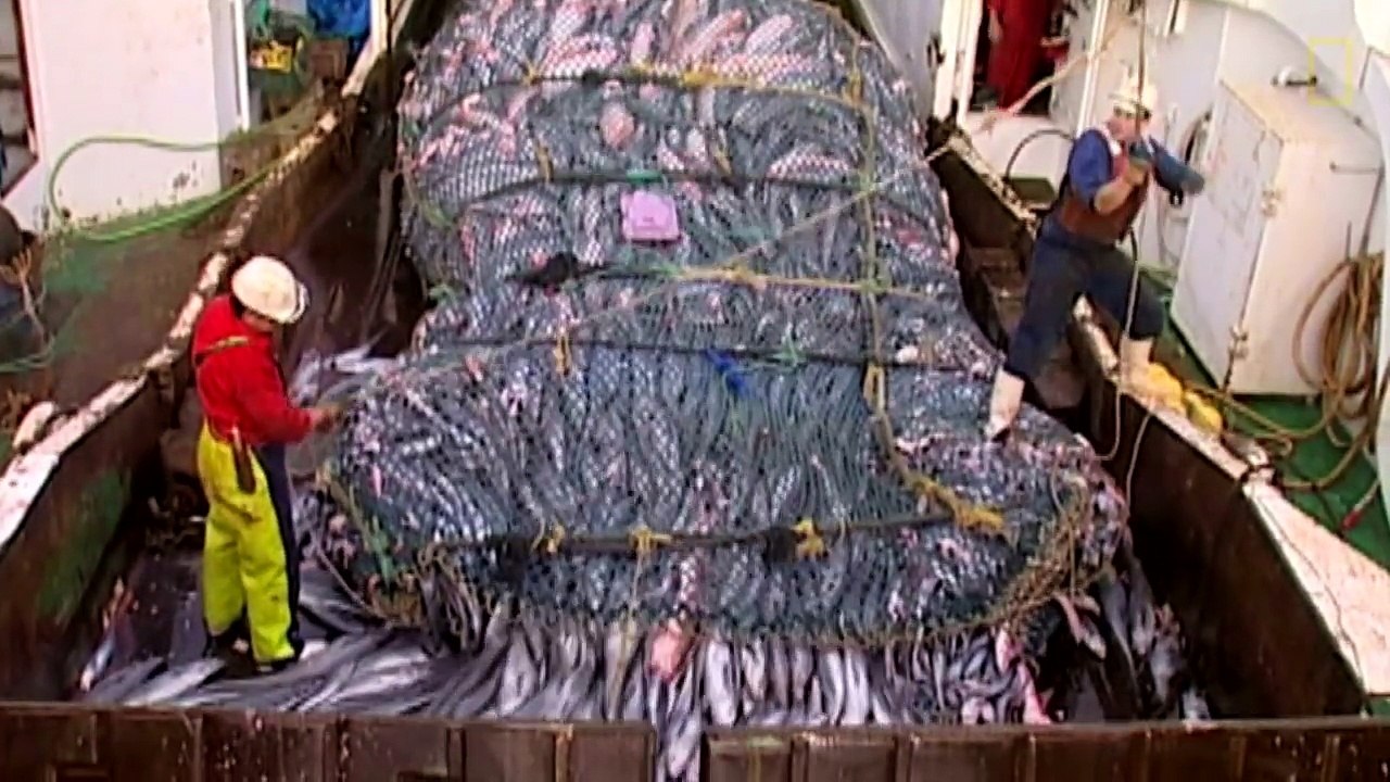 How More Efficient Fishing Can Protect the Ocean ll National Geographic