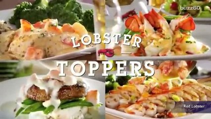 Where Does Red Lobster Get Its Lobster From?