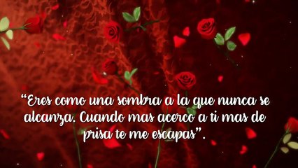 10 frases dulces de amor
