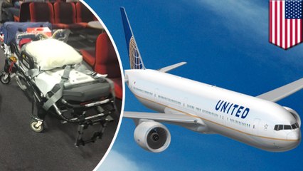 Turbulence : 12 blessés sur un vol d'United Airlines