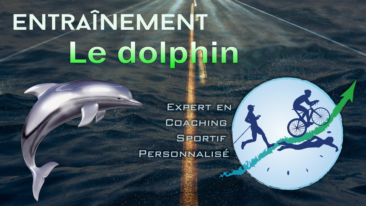Dolphin
