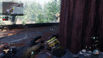 Simple Money Wins 💰