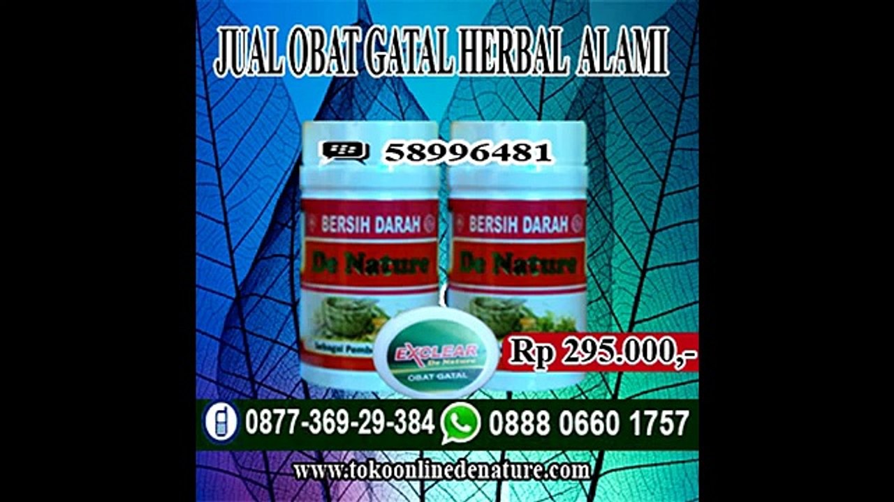 JUAL OBAT GATAL HERBAL ALAMI  Pin BB 58996481