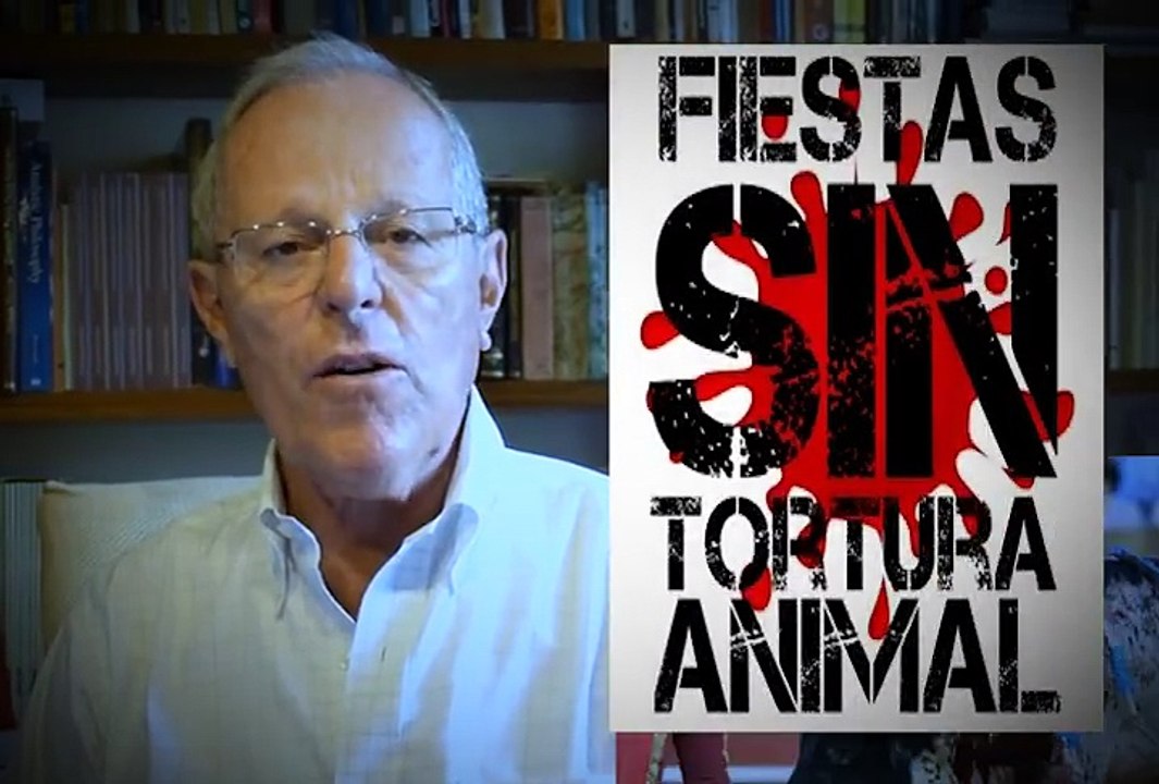 Presidente do Peru apoia campanha contra touradas
