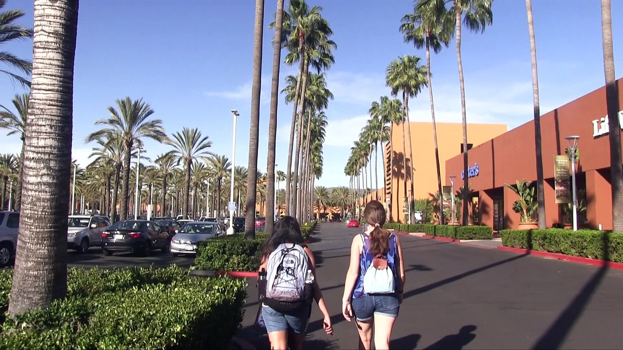 Spring Break Montage