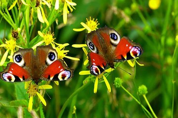 악녀알바『찜알바』새벽알바