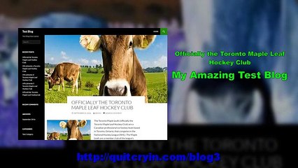 Officially the Toronto Maple Leaf Hockey Club