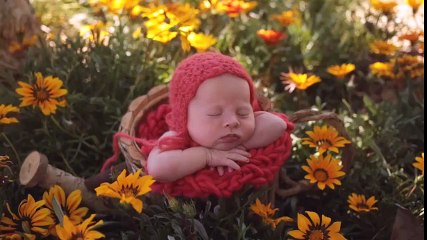 Bộ ảnh đáng yêu nhất mà mình từng xem