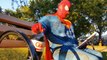 HULK Transforms Into RED HULK w_ SPIDERMAN - Spider-man Last Stand IRL