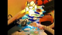 016_【面白い】【芸術】貝殻アートの神秘的な画像まとめてみた！-トリックアート・不思議映像・描き方の世界