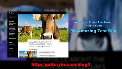 An Article About The Toronto Maple Leafs