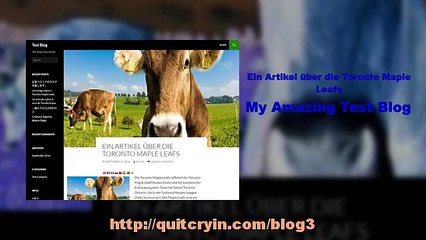 Ein Artikel über die Toronto Maple Leafs