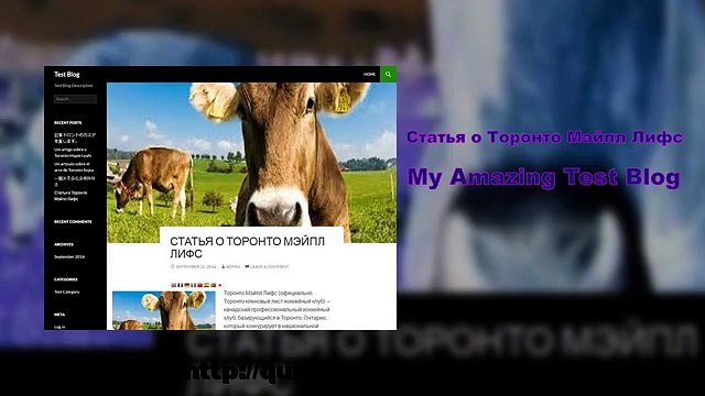 Статья о Торонто Мэйпл Лифс