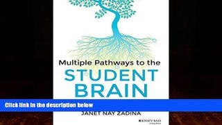 Big Deals  Multiple Pathways to the Student Brain: Energizing and Enhancing Instruction  Free Full