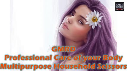 Multipurpose Household Scissors