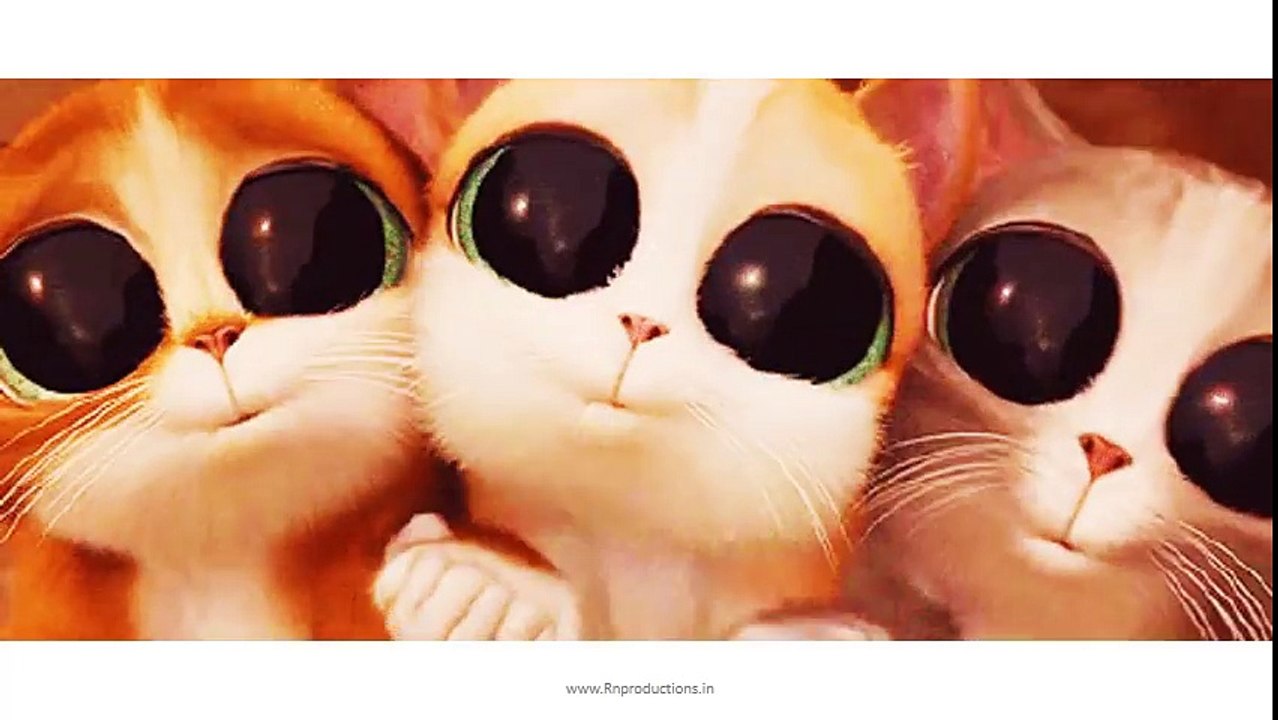 Cat Gangnam Style - funny animal videos