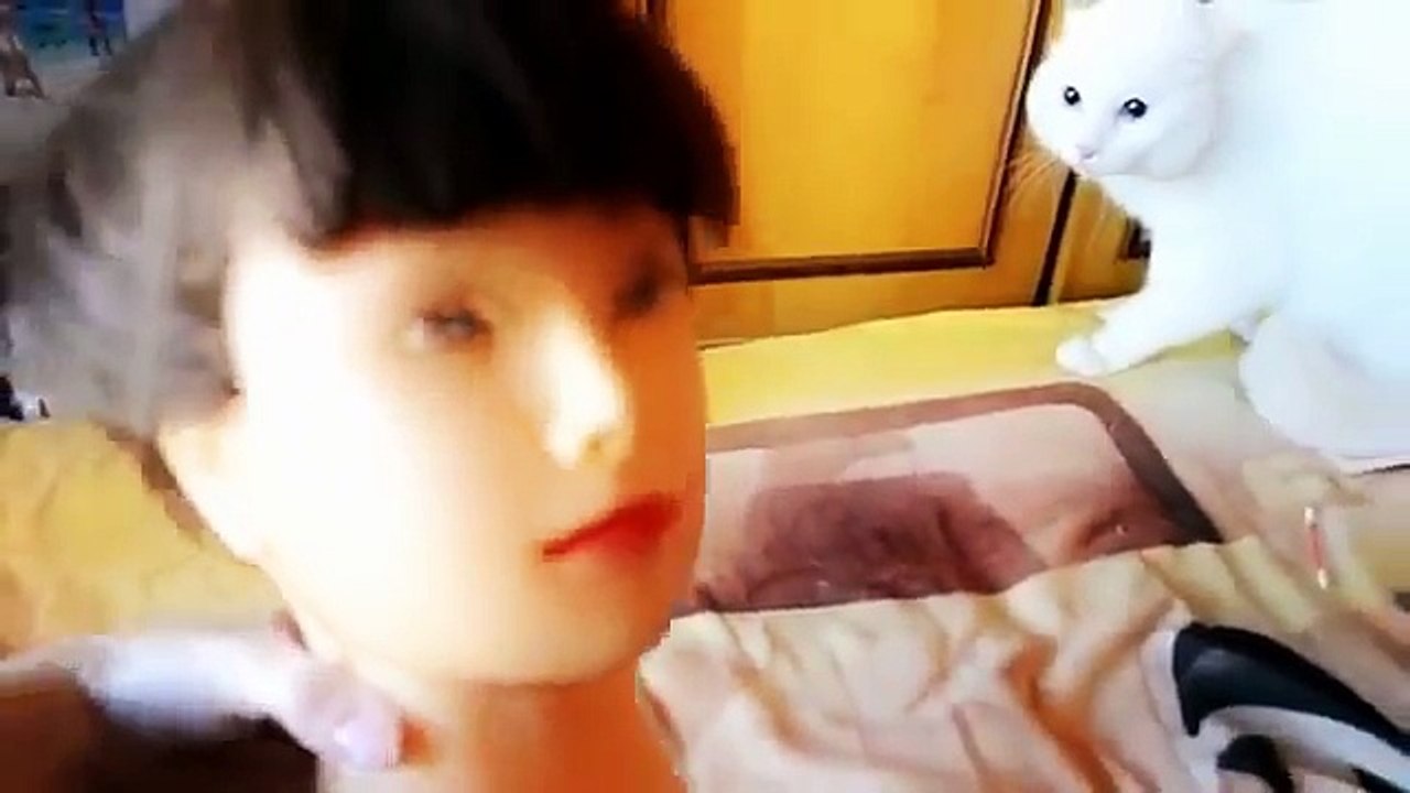 cat scared from a mask